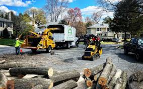 How Our Tree Care Process Works  in  Paoli, IN